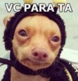 /album/galeria-de-fotos/veiaca-jpg/