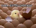 /album/galeria-de-fotos/kkkkkkkkkkkkkkkkkkkkkkkkkkkkkkkkkkkkkkkkkkkkk-jpg/