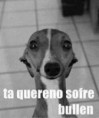/album/galeria-de-fotos/k-jpg/