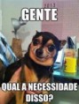 /album/galeria-de-fotos/kk-jpg/